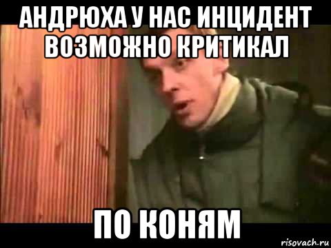 андрюха у нас инцидент возможно критикал по коням, Мем Ларин по коням