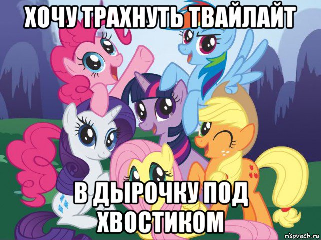 хочу трахнуть твайлайт в дырочку под хвостиком, Мем My little pony