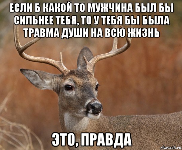 если б какой то мужчина был бы сильнее тебя, то у тебя бы была травма души на всю жизнь это, правда, Мем  Наивный Олень v2