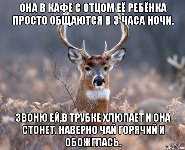 она в кафе с отцом её ребёнка просто общаются в 3 часа ночи. звоню ей,в трубке хлюпает и она стонет. наверно чай горячий и обожглась., Мем   Наивный олень