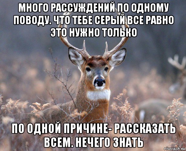 много рассуждений по одному поводу. что тебе серый все равно это нужно только по одной причине- рассказать всем. нечего знать, Мем   Наивный олень