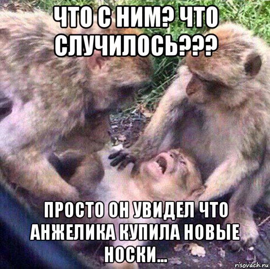 что с ним? что случилось??? просто он увидел что анжелика купила новые носки...