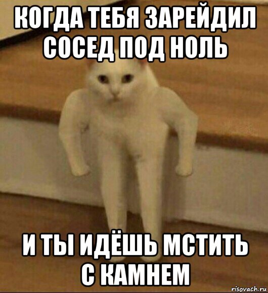 когда тебя зарейдил сосед под ноль и ты идёшь мстить с камнем, Мем  Полукот