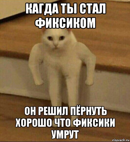 кагда ты стал фиксиком он решил пёрнуть хорошо что фиксики умрут, Мем  Полукот