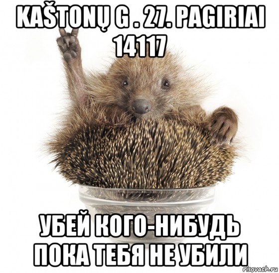 Пока нибудь. Ежик не болей. Ежик не болей картинки прикольные. Ежик не грусти. Ежик я не пукну.