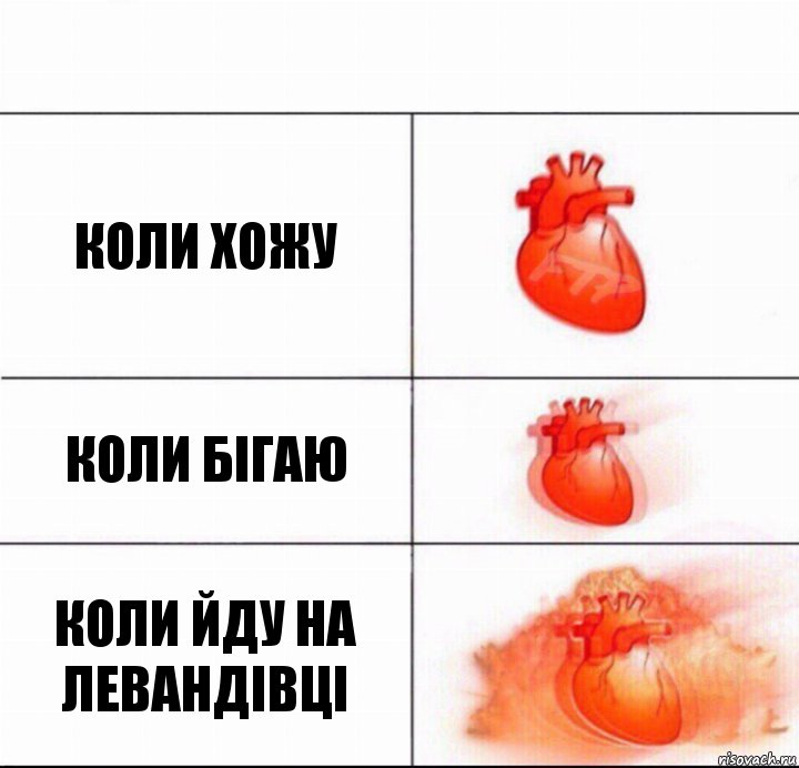 Коли Хожу Коли бігаю Коли йду На Левандівці, Комикс  Расширяюшее сердце