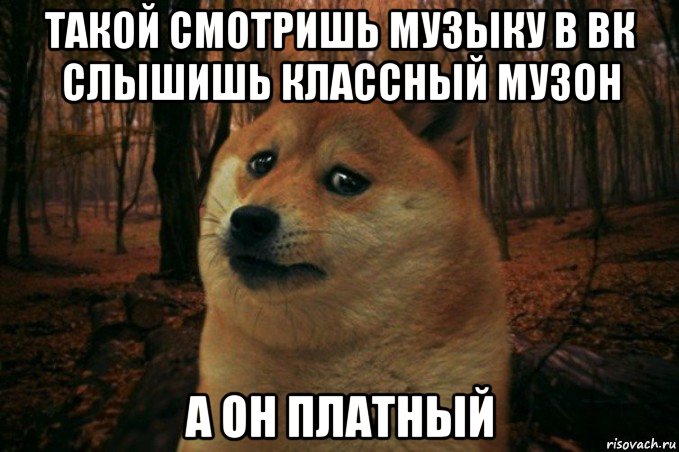 такой смотришь музыку в вк слышишь классный музон а он платный, Мем SAD DOGE