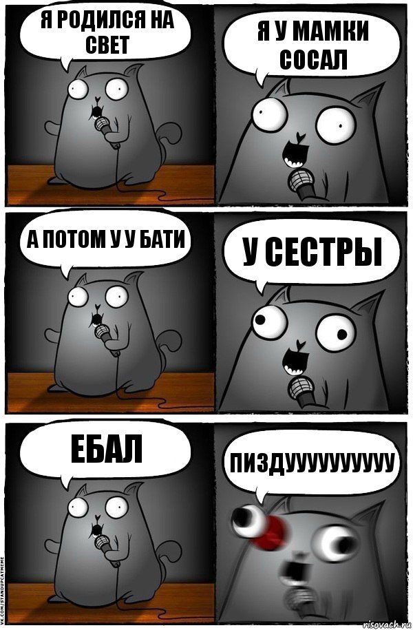 я родился на свет я у мамки сосал а потом у у бати у сестры ебал пиздуууууууууу, Комикс  Стендап-кот