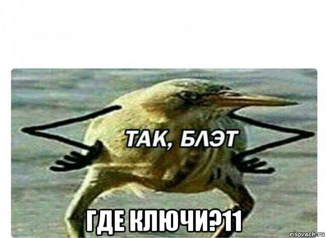  где ключи?11, Мем Так Блэт