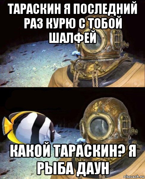 тараскин я последний раз курю с тобой шалфей какой тараскин? я рыба даун, Мем   Высокое давление