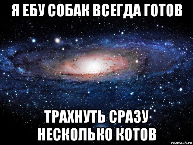 я ебу собак всегда готов трахнуть сразу несколько котов, Мем Вселенная