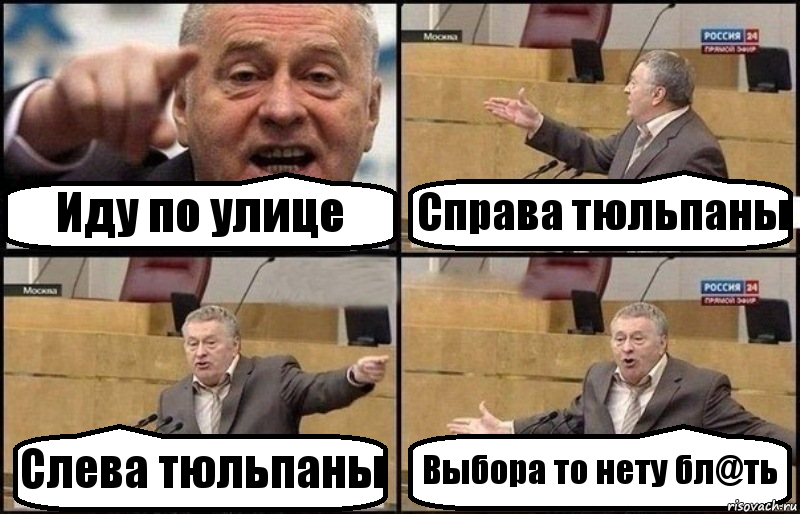 Иду по улице Справа тюльпаны Слева тюльпаны Выбора то нету бл@ть, Комикс Жириновский