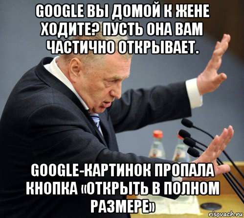 google вы домой к жене ходите? пусть она вам частично открывает. google-картинок пропала кнопка «открыть в полном размере», Мем Жириновский узбагойся