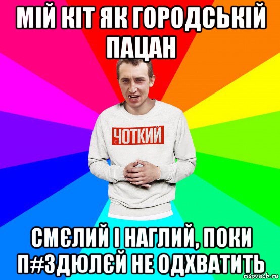 мій кіт як городській пацан смєлий і наглий, поки п#здюлєй не одхватить, Мем Чоткий