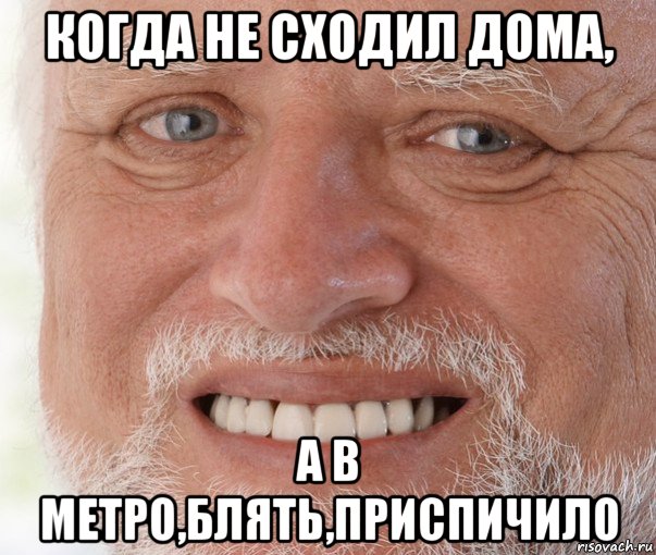 когда не сходил дома, а в метро,блять,приспичило, Мем Дед Гарольд