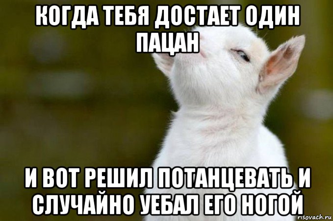 когда тебя достает один пацан и вот решил потанцевать и случайно уебал его ногой, Мем  Гордый козленок