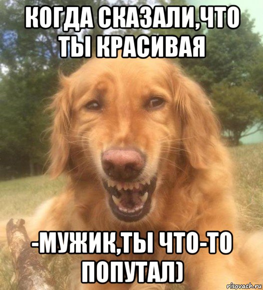 когда сказали,что ты красивая -мужик,ты что-то попутал), Мем   Когда увидел что соседского кота отнесли в чебуречную