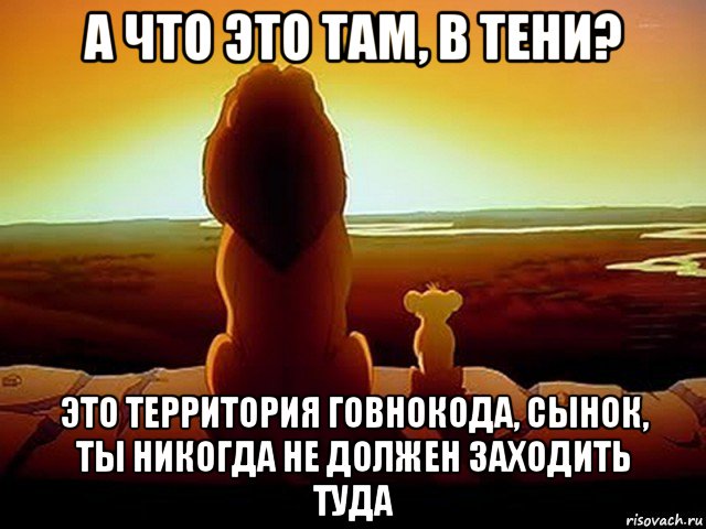 а что это там, в тени? это территория говнокода, сынок, ты никогда не должен заходить туда, Мем  король лев