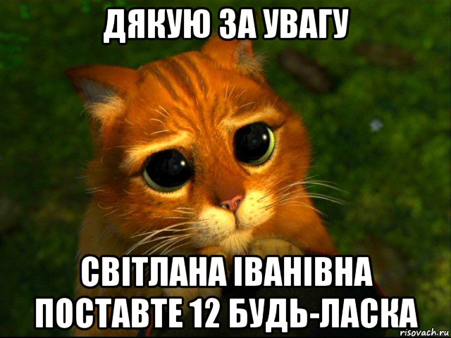 дякую за увагу світлана іванівна поставте 12 будь-ласка