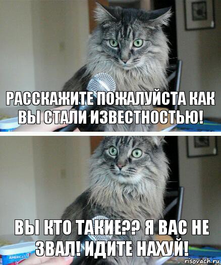 Расскажите пожалуйста как вы стали известностью! Вы кто такие?? Я вас не звал! ИДИТЕ НАХУЙ!, Комикс  кот с микрофоном