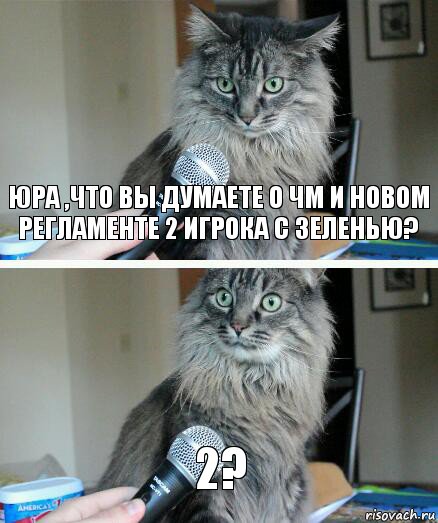 Юра ,что вы думаете о ЧМ и новом регламенте 2 игрока с зеленью? 2?, Комикс  кот с микрофоном