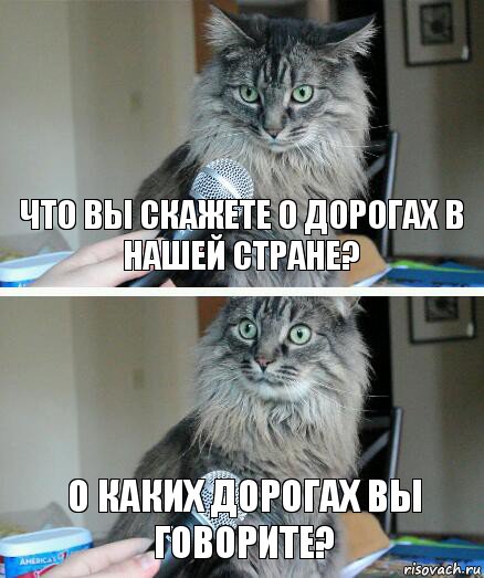 Что вы скажете о дорогах в нашей стране? О каких дорогах вы говорите?, Комикс  кот с микрофоном