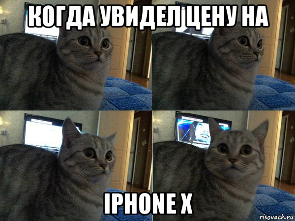 когда увидел цену на iphone x