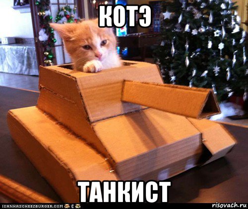 котэ танкист