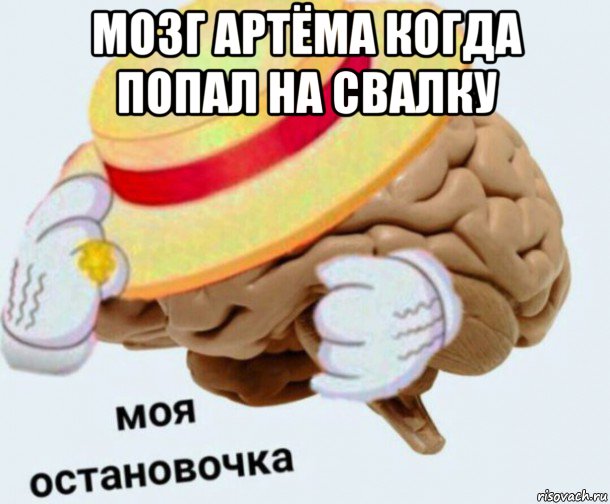 мозг артёма когда попал на свалку , Мем   Моя остановочка мозг