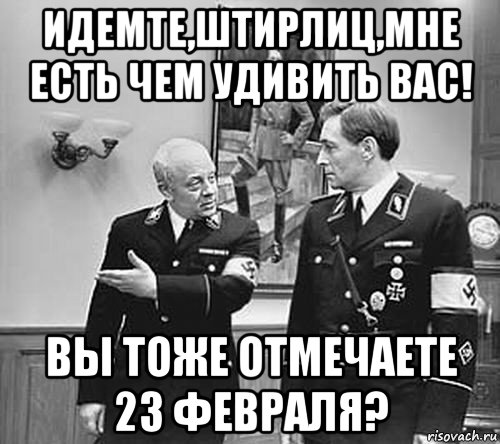 Штирлиц служил