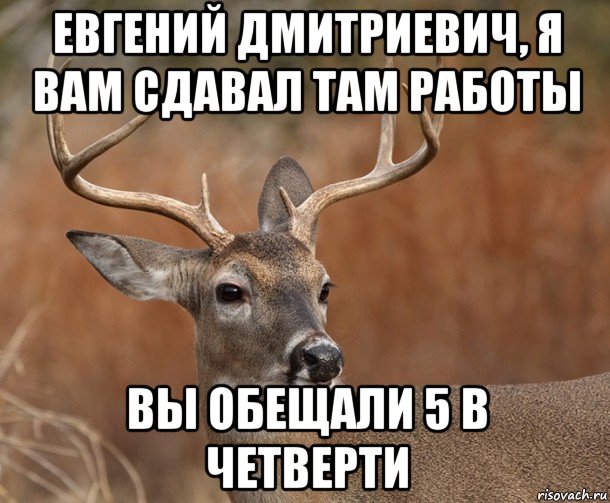 евгений дмитриевич, я вам сдавал там работы вы обещали 5 в четверти, Мем  Наивный Олень v2