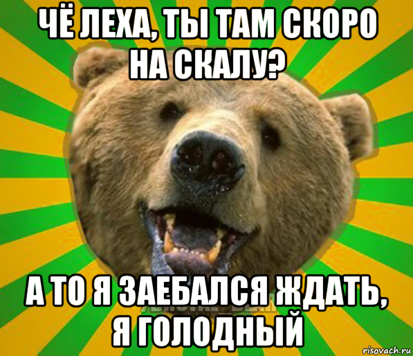 чё леха, ты там скоро на скалу? а то я заебался ждать, я голодный, Мем Нелепый медведь