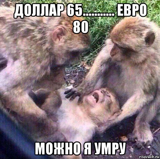 доллар 65........... евро 80 можно я умру, Мем Обезьяны