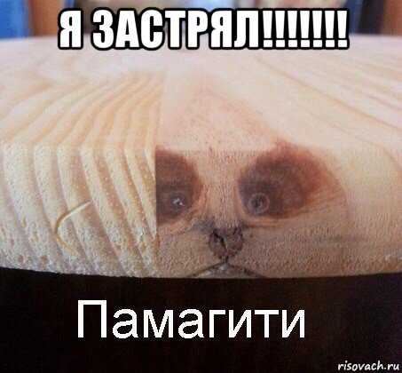 я застрял!!!!!!! 