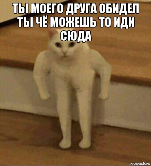 ты моего друга обидел ты чё можешь то иди сюда , Мем  Полукот