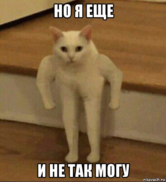 но я еще и не так могу, Мем  Полукот