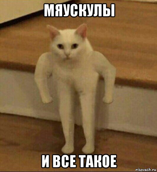 мяускулы и все такое, Мем  Полукот