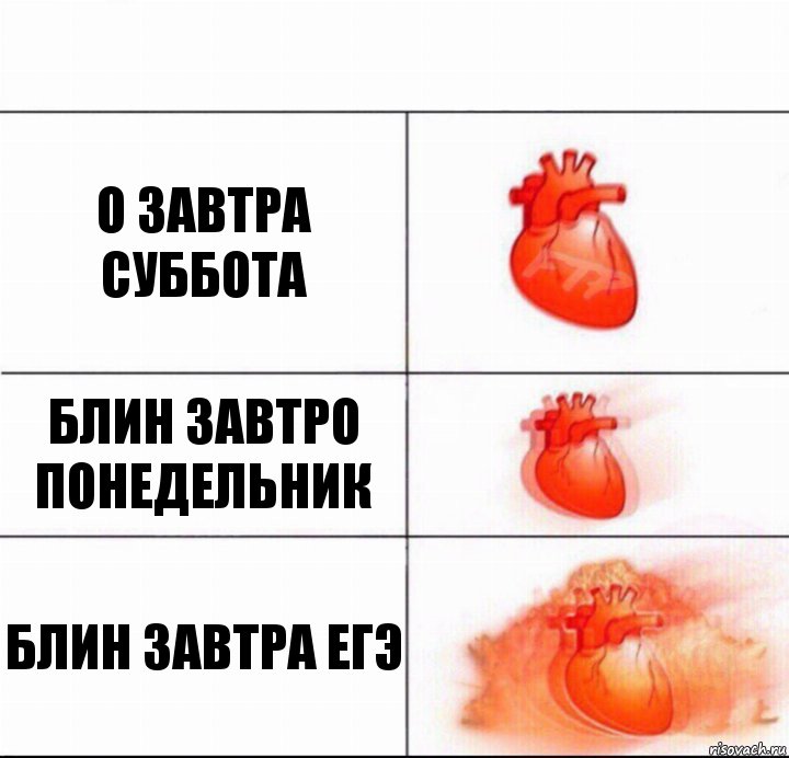 Дозавтра или до завтра как пишется правильно. Завтро или завтра как правильно. Как пишется завтра или завтро правильно. Как завтра.