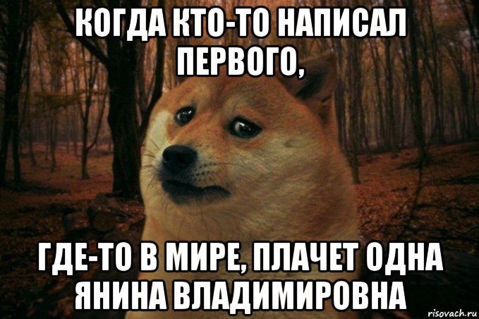 когда кто-то написал первого, где-то в мире, плачет одна янина владимировна, Мем SAD DOGE