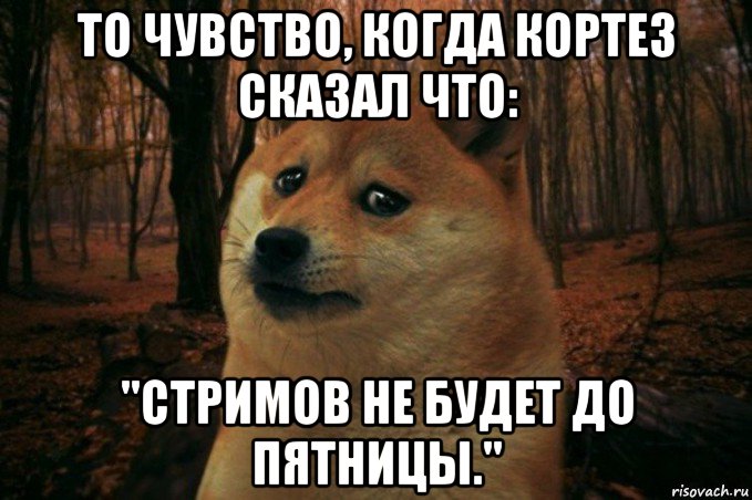 то чувство, когда кортез сказал что: "стримов не будет до пятницы.", Мем SAD DOGE