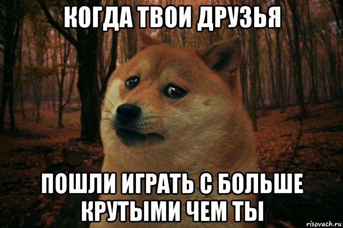 когда твои друзья пошли играть с больше крутыми чем ты, Мем SAD DOGE