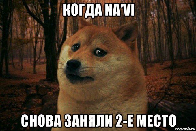 когда na'vi снова заняли 2-е место, Мем SAD DOGE