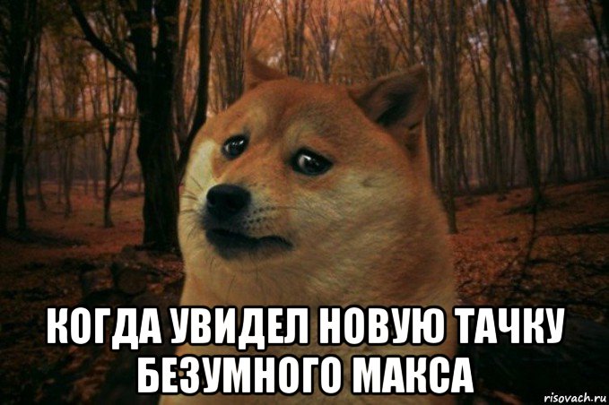  когда увидел новую тачку безумного макса, Мем SAD DOGE