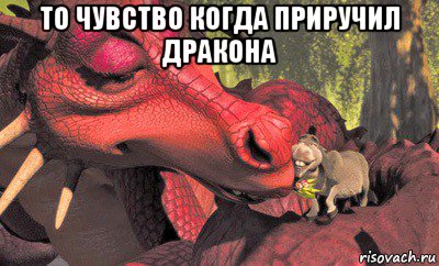 Дракон Из Шрека Картинки