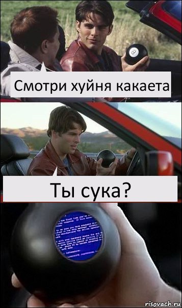 Смотри хуйня какаета Ты сука?