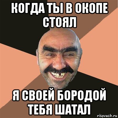 когда ты в окопе стоял я своей бородой тебя шатал, Мем Я твой дом труба шатал