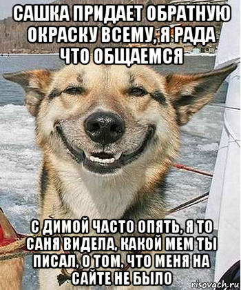 сашка придает обратную окраску всему, я рада что общаемся с димой часто опять, я то саня видела, какой мем ты писал, о том, что меня на сайте не было, Мем Довольный пес