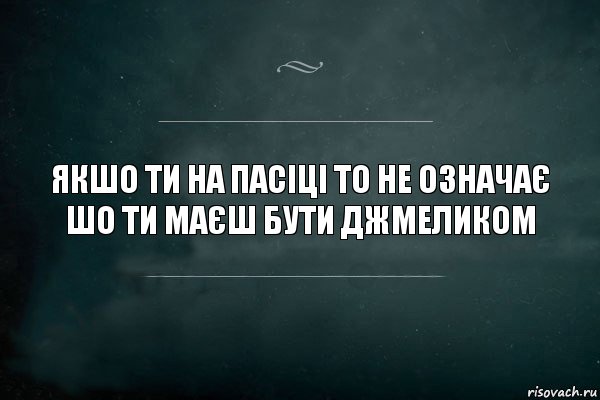 якшо ти на пасіці то не означає шо ти маєш бути джмеликом, Комикс Игра Слов