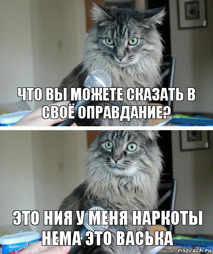 Что вы можете сказать в своё оправдание? Это ния у меня наркоты нема это Васька, Комикс  кот с микрофоном