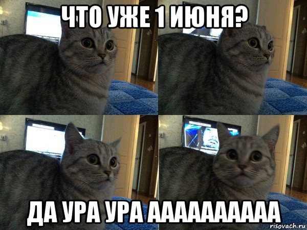 что уже 1 июня? да ура ура аааааааааа